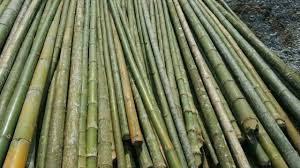 dịch vụ cọc tre Đà Nẵng